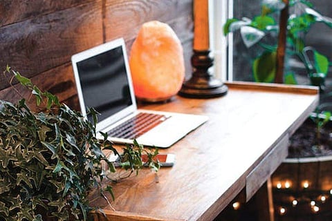 Image Credits: Pexels