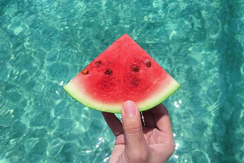 Photo Credits: Pexels