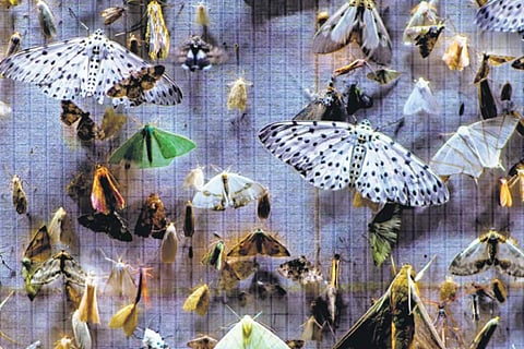 A still from Nocturnes