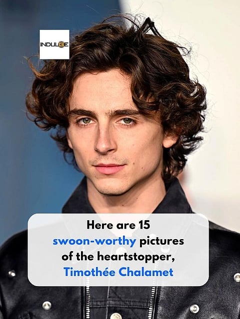 Here are 15 swoon-worthy pictures of the heart-stopper, Timothée Chalamet