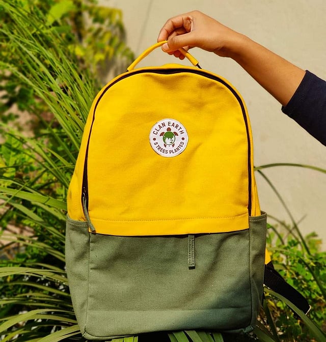 <em>Backpack by Clan Earth</em>