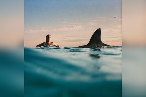 Cover art for the album shared by Dua Lipa