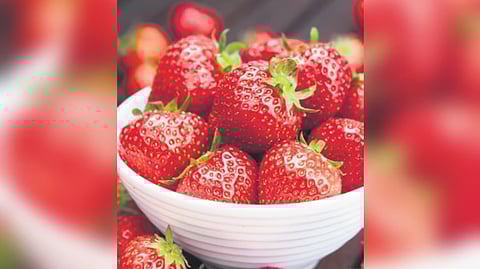 Strawberries are very good for oily to combination skin