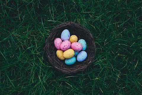 In frame: Easter eggs (Image for representational purpose)