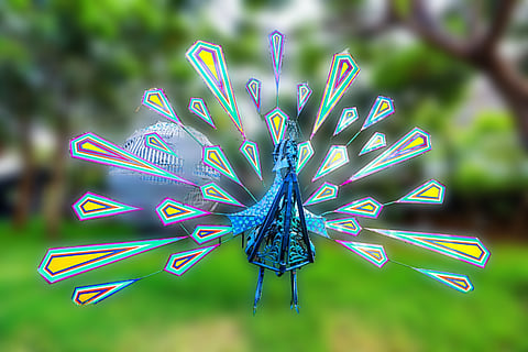 Beside the Flowers by Fiza Khatri