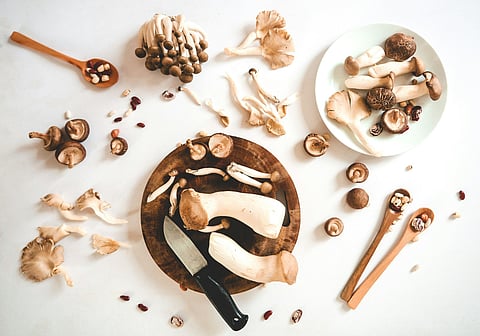Day of the Mushroom 2024: Elevate your regular meal with these two chef-approved recipes