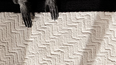 This Indian rug brand unveiled three Italian collaborations at Salone del Mobile Milano 2024