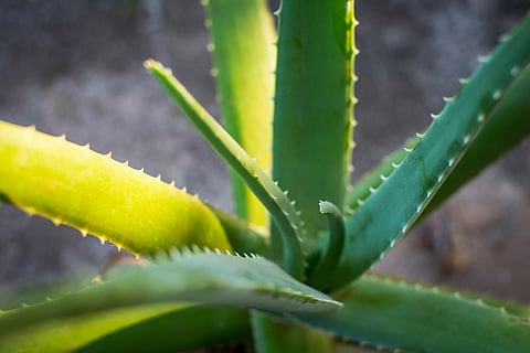 Representational image