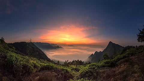 Madras HC introduces e-pass for The Nilgiris ahead of the Ooty Flower Festival