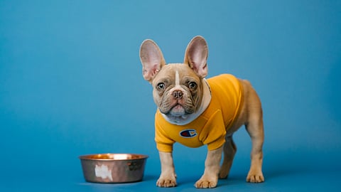 Image for representational purpose