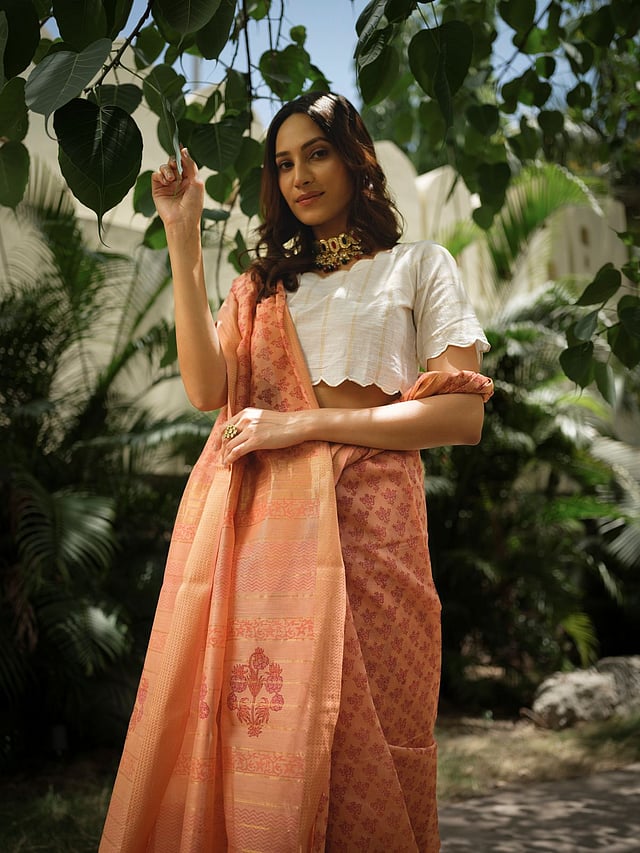 Mrida's Bulbul edit
