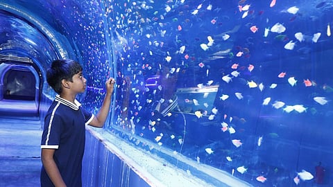 Image for representational purpose