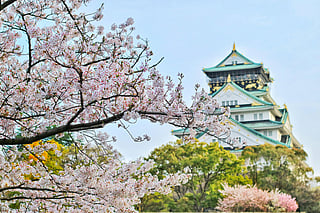 Five cities across the globe that play host to cherry blossom festivals