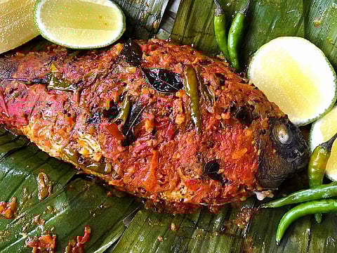 Grilled fish