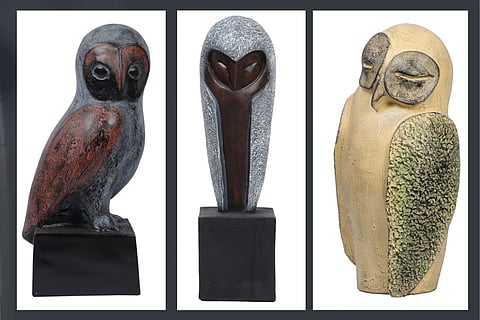 Ashnam The WiseBird Series