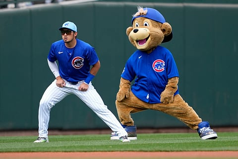 The Chicago Cubs mascot playfully stretches with Seiya Suzuki prior to a spring training baseball game against the Los Angeles Angels (March 6) in Mesa, Ariz