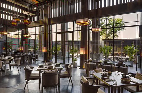 Shiso is unfathomably huge and cleverly broken up into a capacious dining room and a private dining area