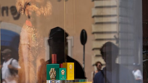 Fefe displayed on the shop window of the fashion brand boutique in Rome