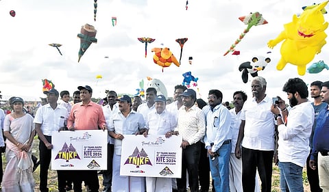 A Kaleidoscope of flying colours