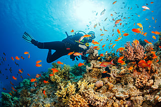 Five best scuba diving destinations in India