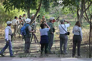 In Frame: Representative image