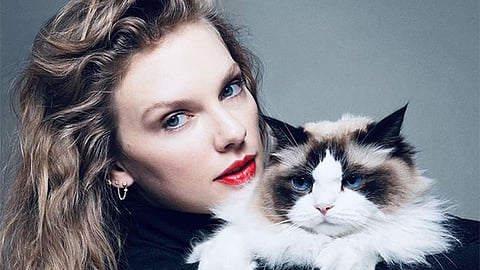 Rhode Island’s Taylor Swift Tax sparks debate