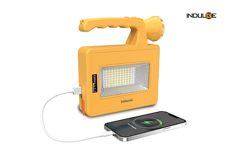 Trippo LED Solar Flood Light