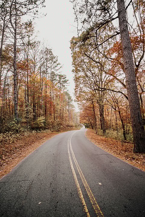 Must-have autumn travel essentials for stylish adventures this fall season