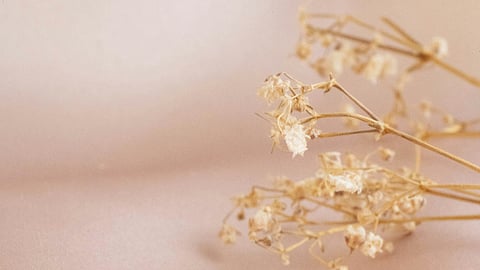 Image used for representational purpose only