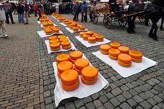 Five unique aged cheeses from around the world