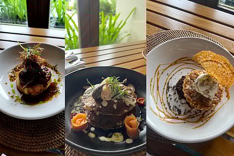 Lamb Rissole, Irish Boxty, Hot apple pie with ice cream (L-R) 