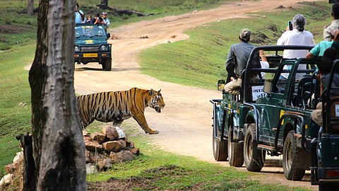 World Tourism Day 2024: These five national park experiences are perfect for an adventurous getaway