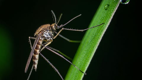 Image for representational purposes