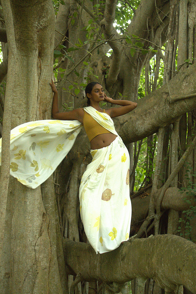 A sari from the collection