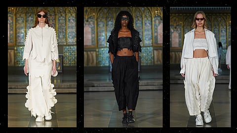 Sul-FUR  by  Nitin Bal Chauhan