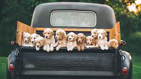 Image for representational purposes