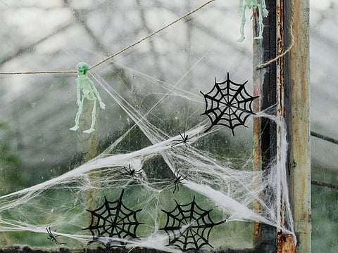 History and significance of Halloween