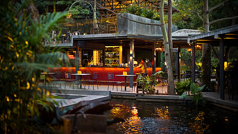 This relaunched outlet of BLR Brewing Co is a beautiful marriage of nature and food