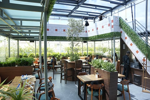 In frame: Interiors of The Serra Café