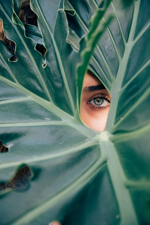 Top vegan beauty brands to celebrate this World Vegan Day