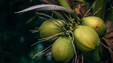 Image for representational purpose 