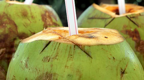 Image is used for representational purpose (source: Pixabay)