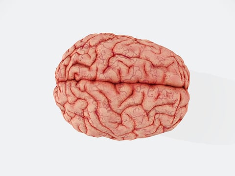 We bring you the best foods for brain health