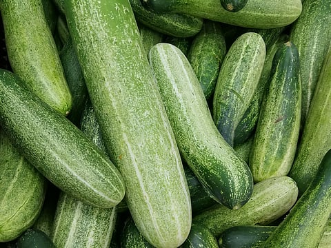 Image for representational purposes