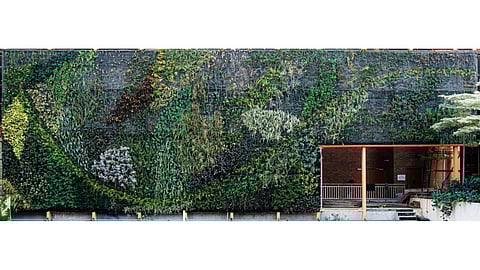 Bengaluru Airport unveils ‘Tiger Wings’ in collaboration with renowned botanist Patrick Blanc