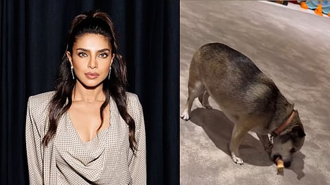 Priyanka Chopra (L); Diana (R)