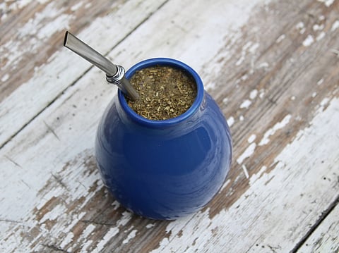 Yerba Mate: The energising elixir of South America