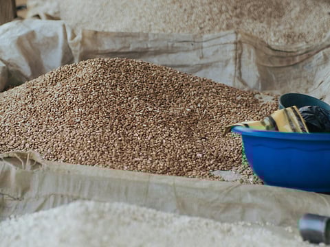 Why ragi should be in your diet: A nutrient powerhouse for bone, heart, and digestive health