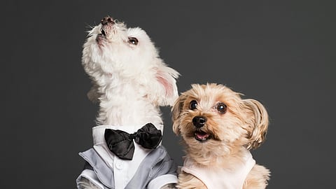 Image for representational purposes