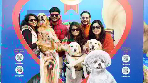 This unique festival offers a variety of fun activities for both pet owners and their fur babies